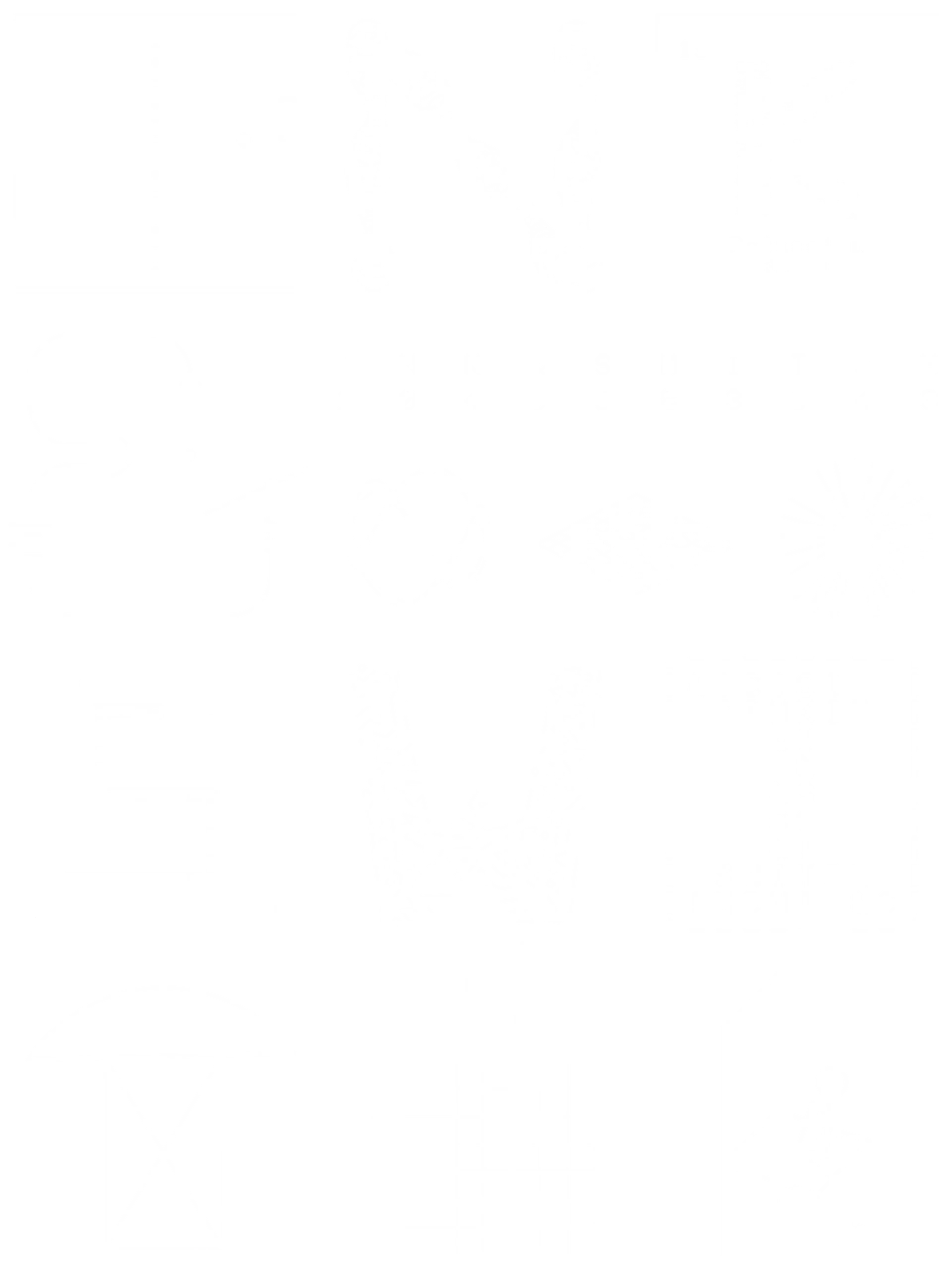 Tenfold 00X MR product image (1)