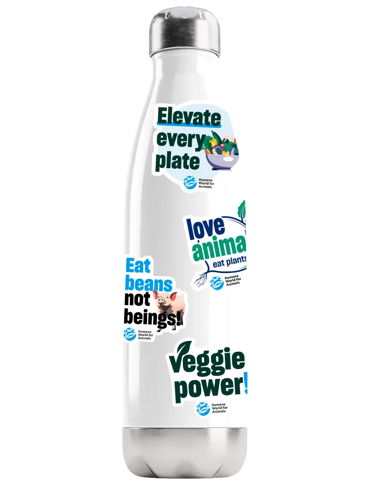 Plant-based eating stickers – Set of 4 product image (1)