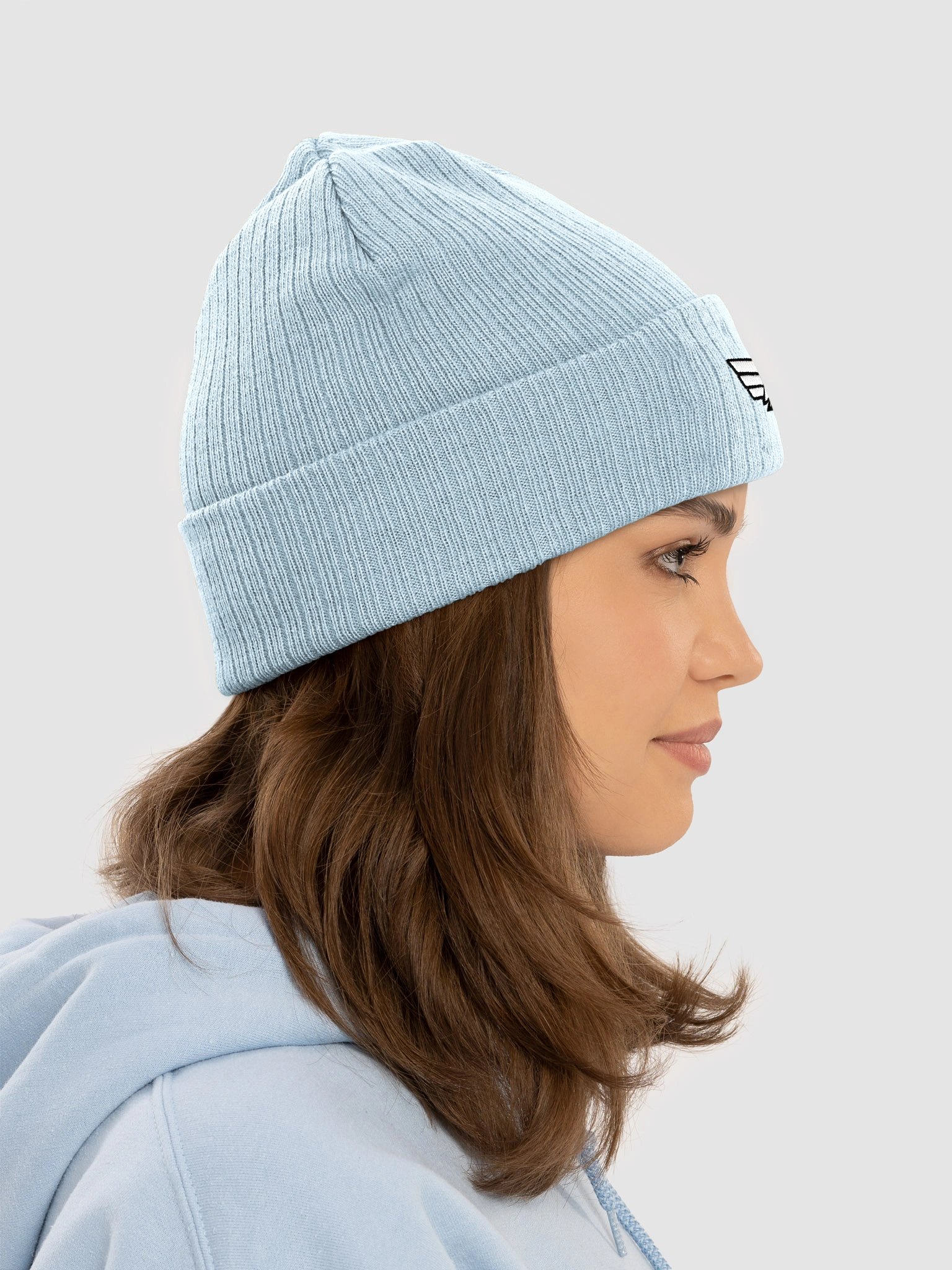 UPDRAFT BEANIE product image (47)