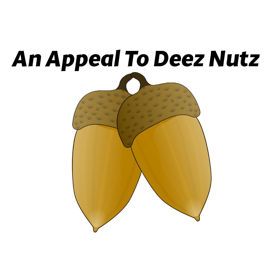 An Appeal To Deez Nutz Flag product image (1)