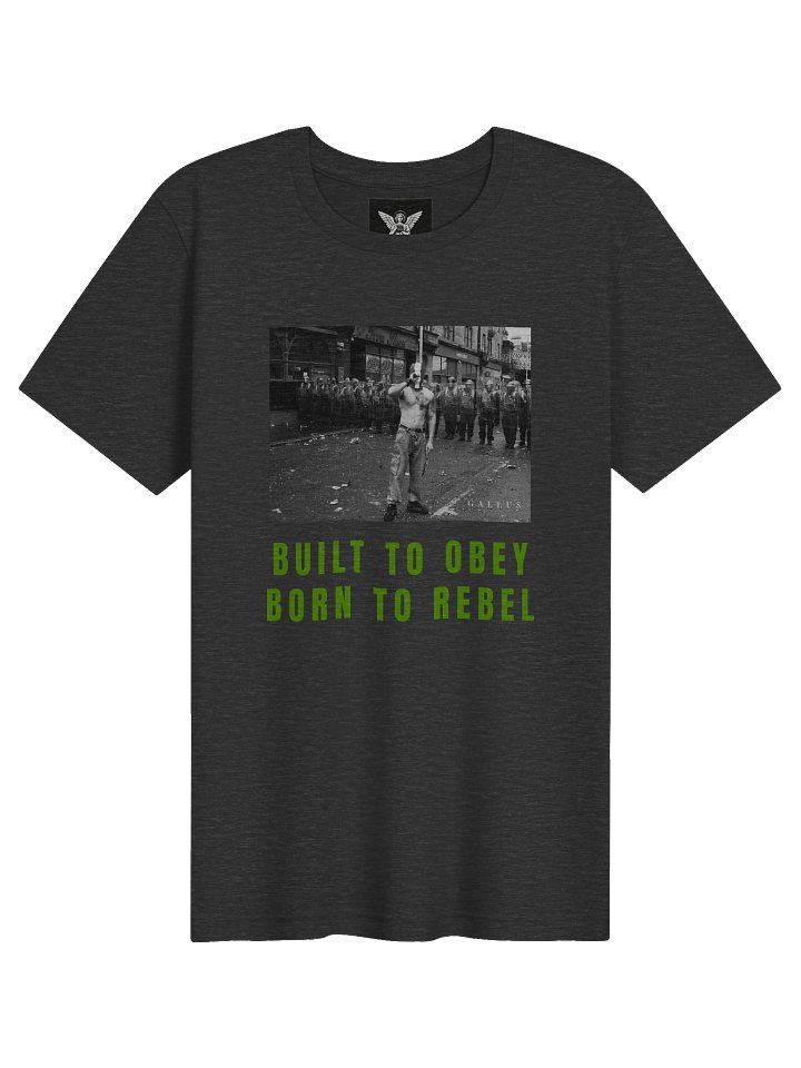 Born To Rebel - £25 PLUS PP product image (51)