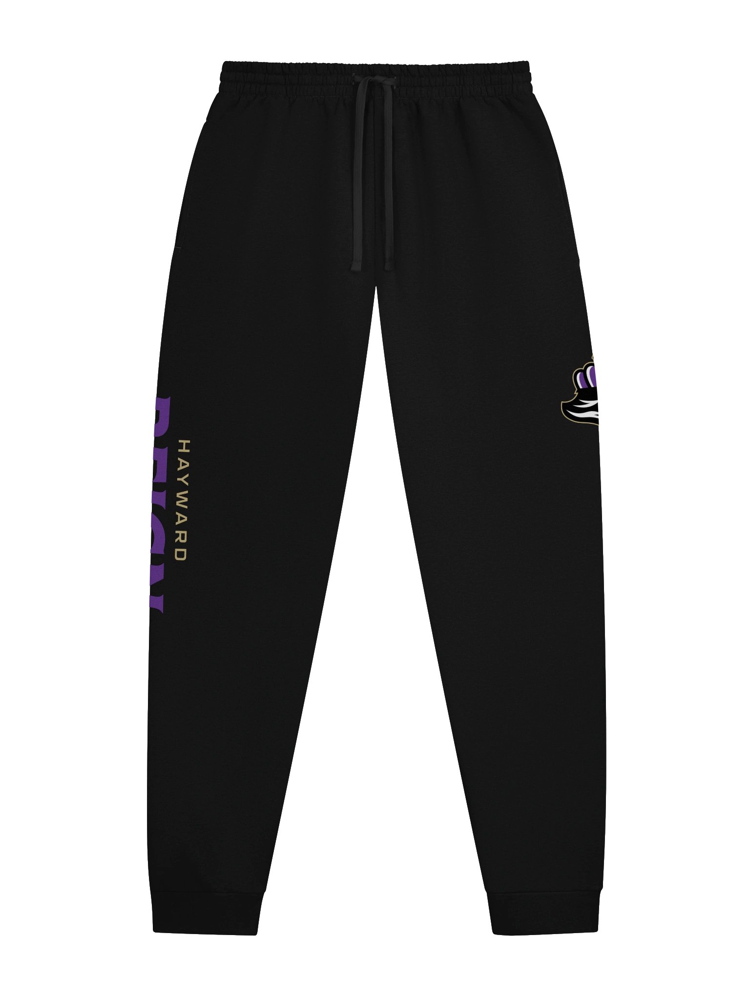 Reign Joggers product image (1)