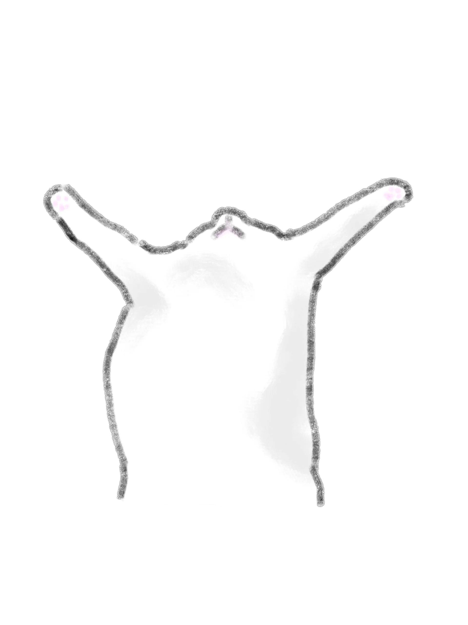 12 Hand-Drawn Cat PNG Clipart Bundle product image (5)