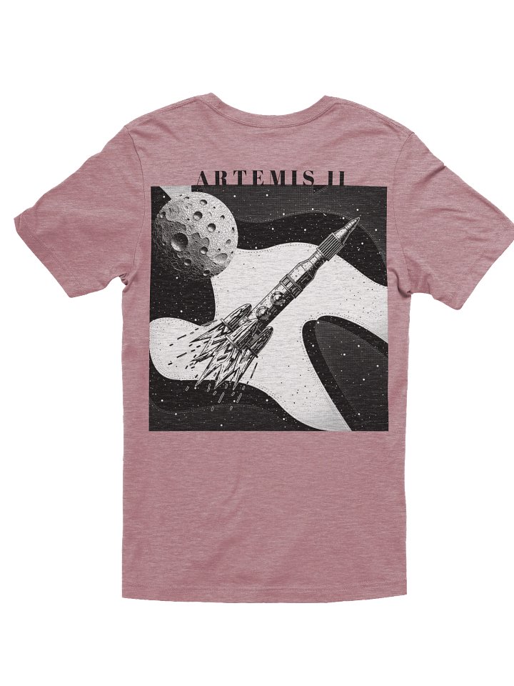 To the Moon and Back product image (14)