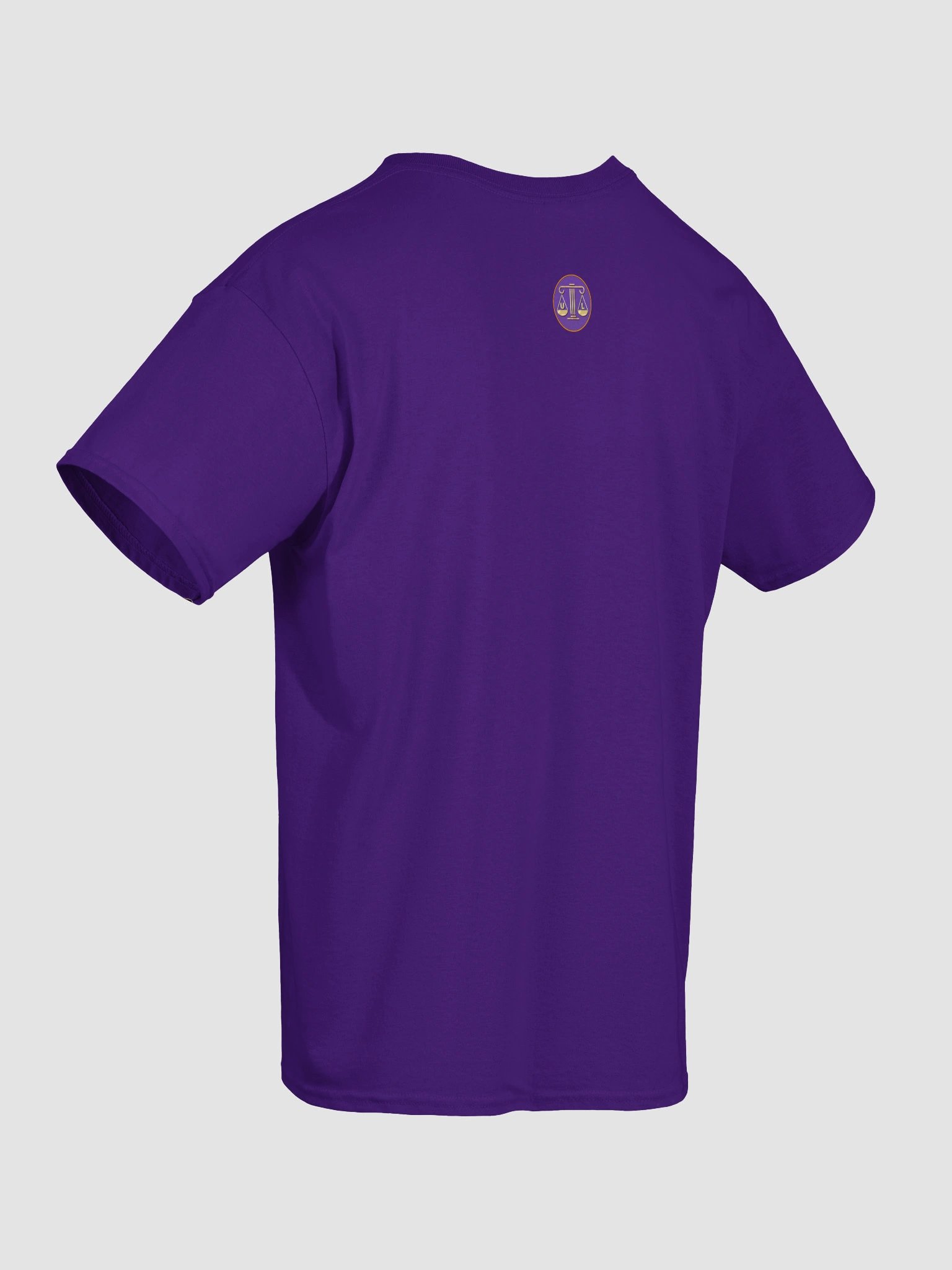 Currently pursuing... t-shirt product image (49)