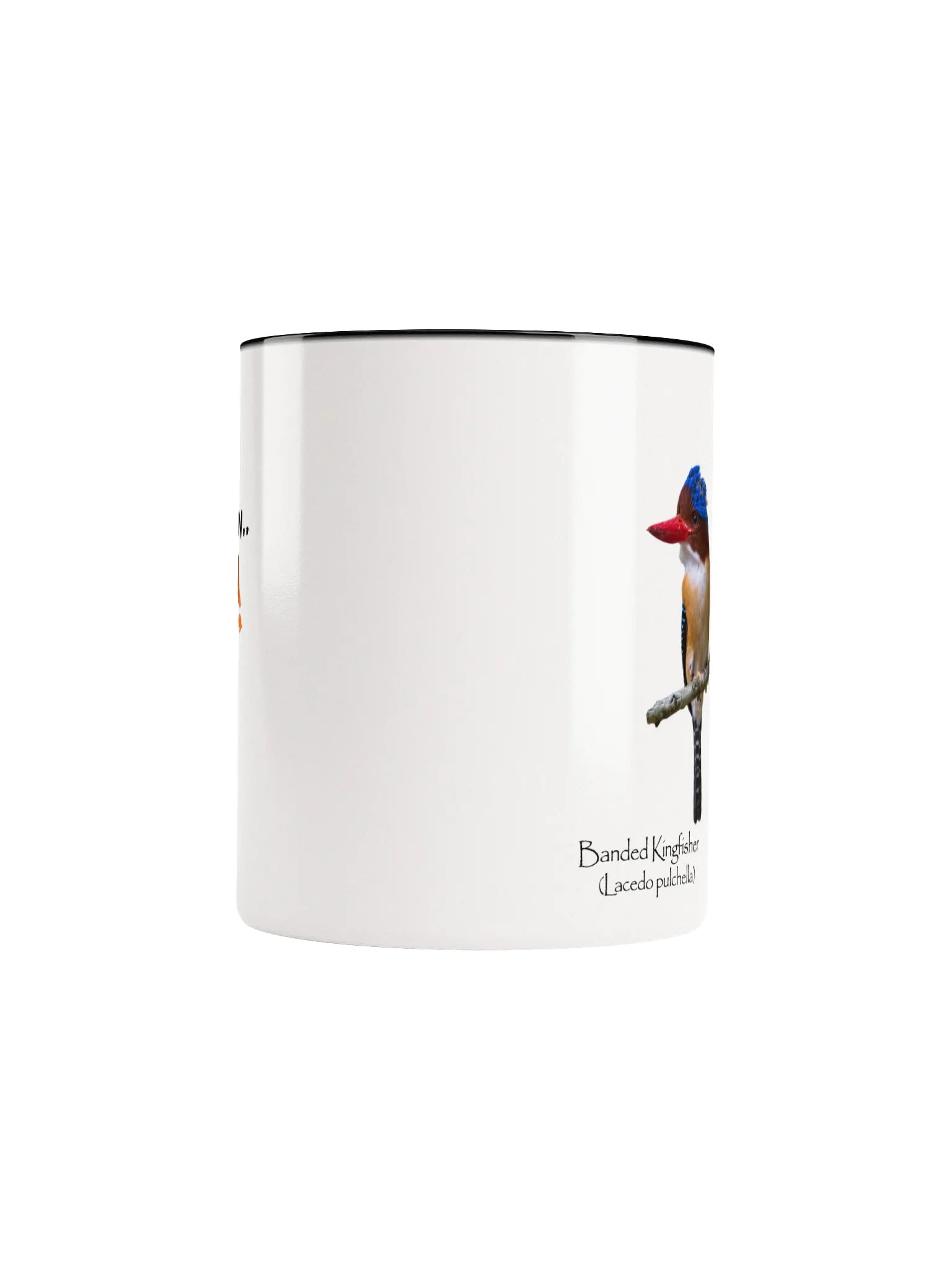 Banded Kingfisher mug product image (5)