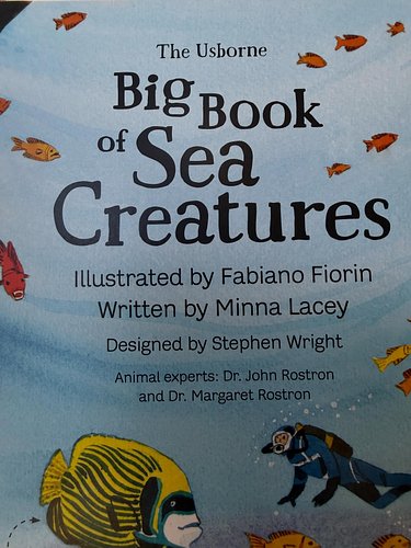 Bro—
Big Book of Sea Creatures?
Fabiano Fiorin didn’t have to go so hard!
Awesome illustrations.