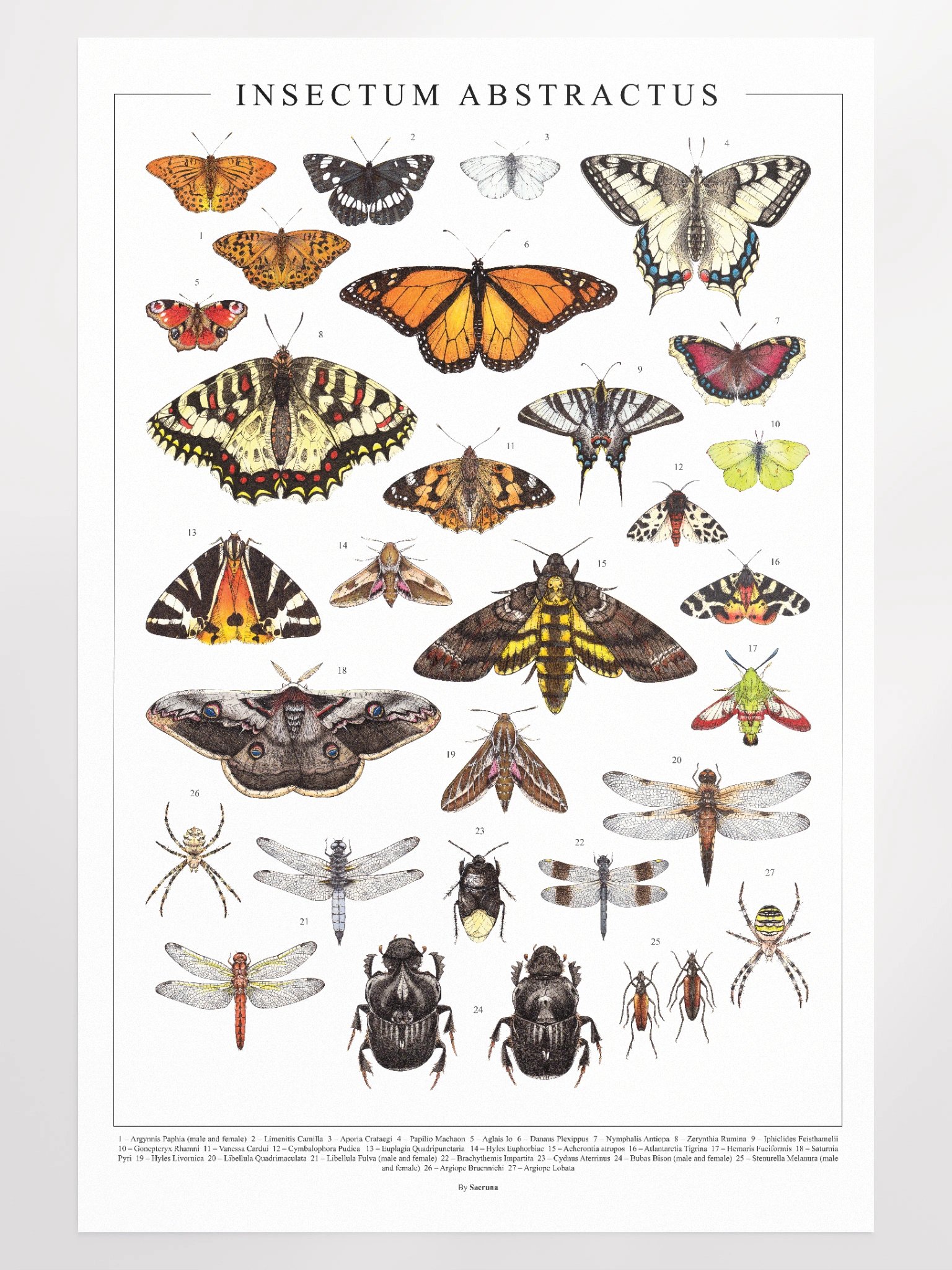 Insectum Abstractus, Whole • Print product image (4)