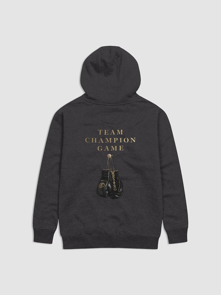 Team Champion Game Hoodie product image (1)