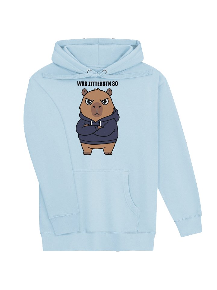 Cotton Heritage Unisex Premium Hoodie product image (18)