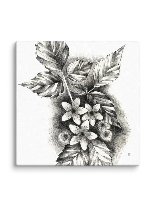 Blank Canvas Masterpieces - Jasmine product image (56)