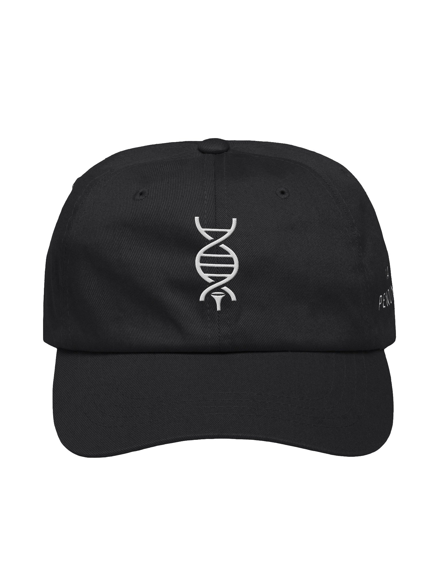 DNA Pending Dad Hat product image (1)