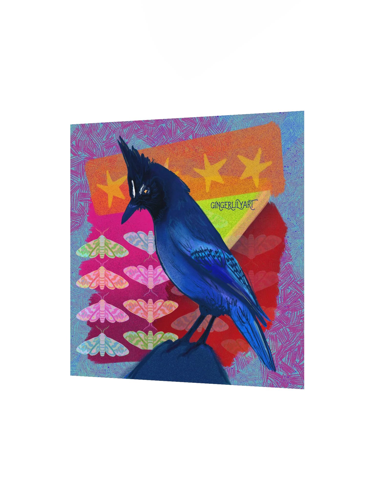 steller's jay print product image (6)