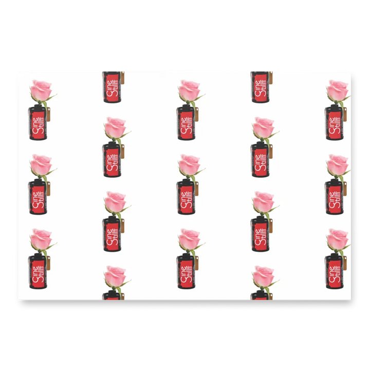 Cinestill Rose Wrapping Paper product image (2)