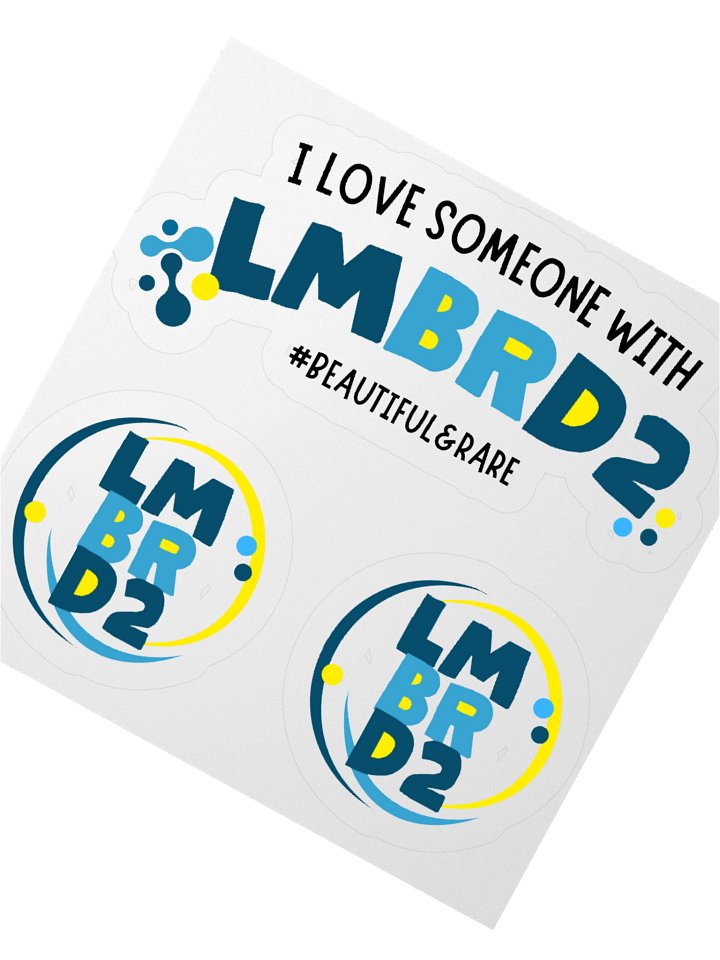 LMBRD2 Kiss Cut Stickers product image (5)