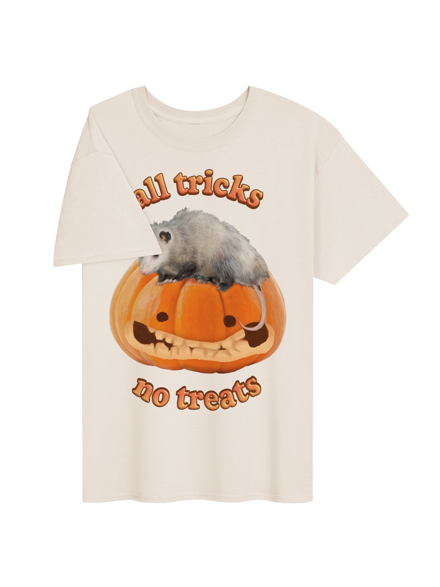 All Tricks No Treats - Autumn Pumpkin Possum T-shirt product image (3)