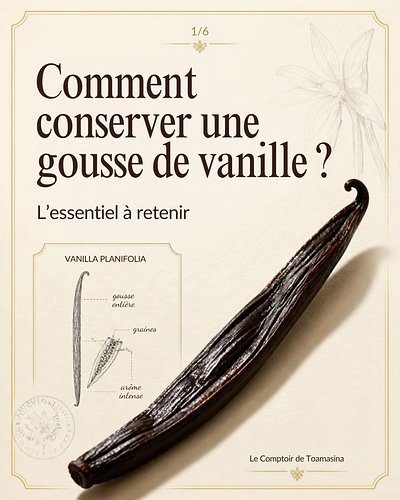 Vos gousses de vanille au congélateur ou dans le rhum ? Deux erreurs qui ruinent leur texture et leur parfum. 🌿

La congélati...