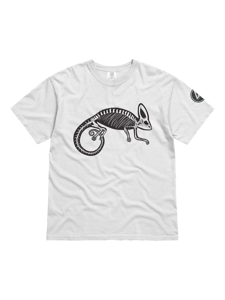 X-Ray Heavyweight T-Shirt product image (1)
