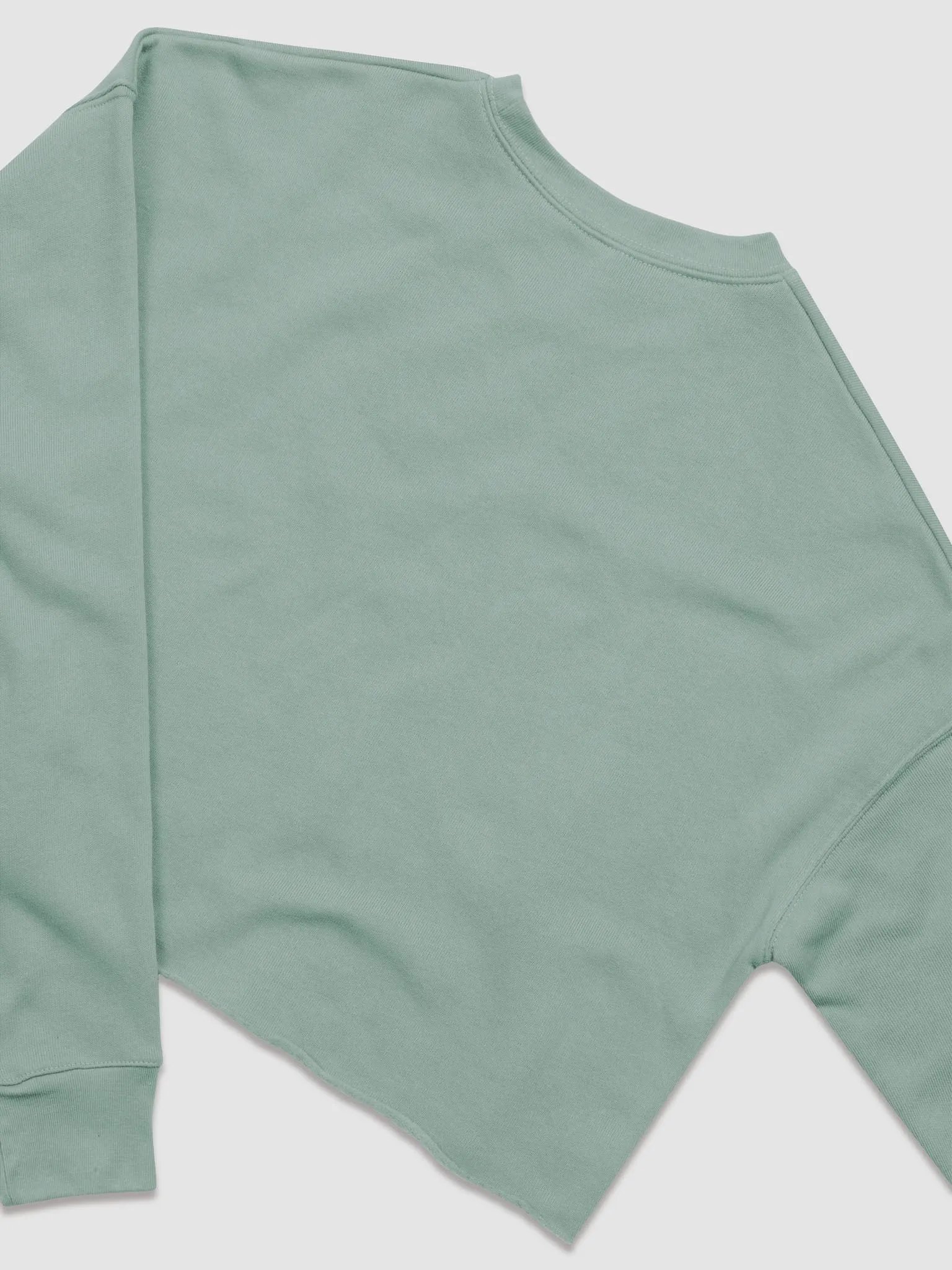 We're Gay Cropped Fleece Sweatshirt product image (4)