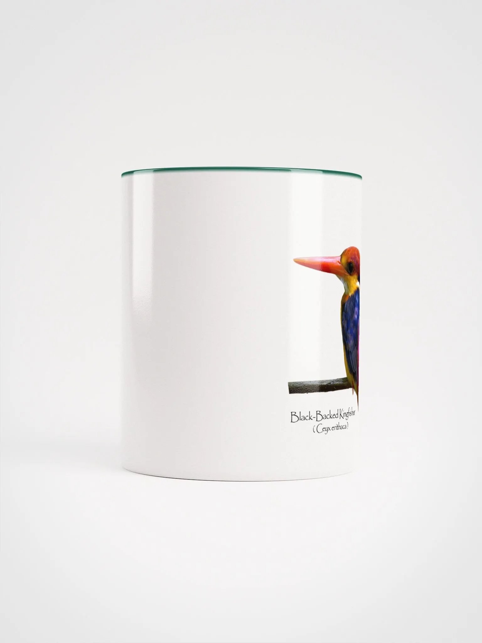 Oriental Dwarf Kingfisher product image (44)