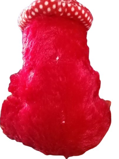 Teddy Bear product image (3)