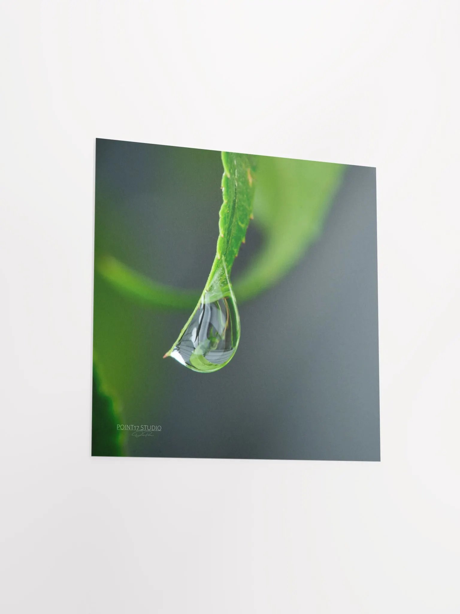 Dew Gems #4 - Print product image (9)
