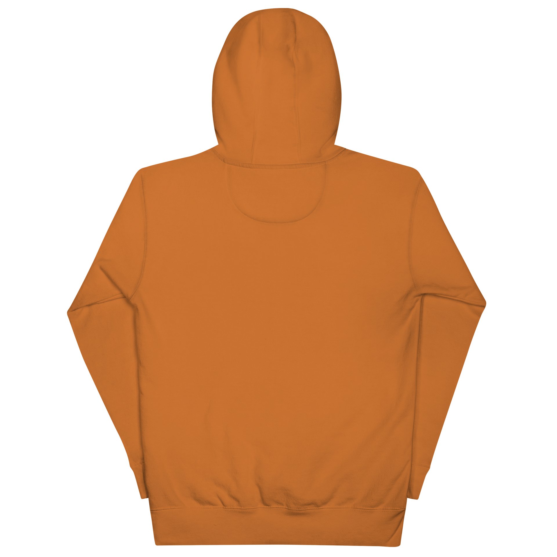 swong alien hoodie product image (4)