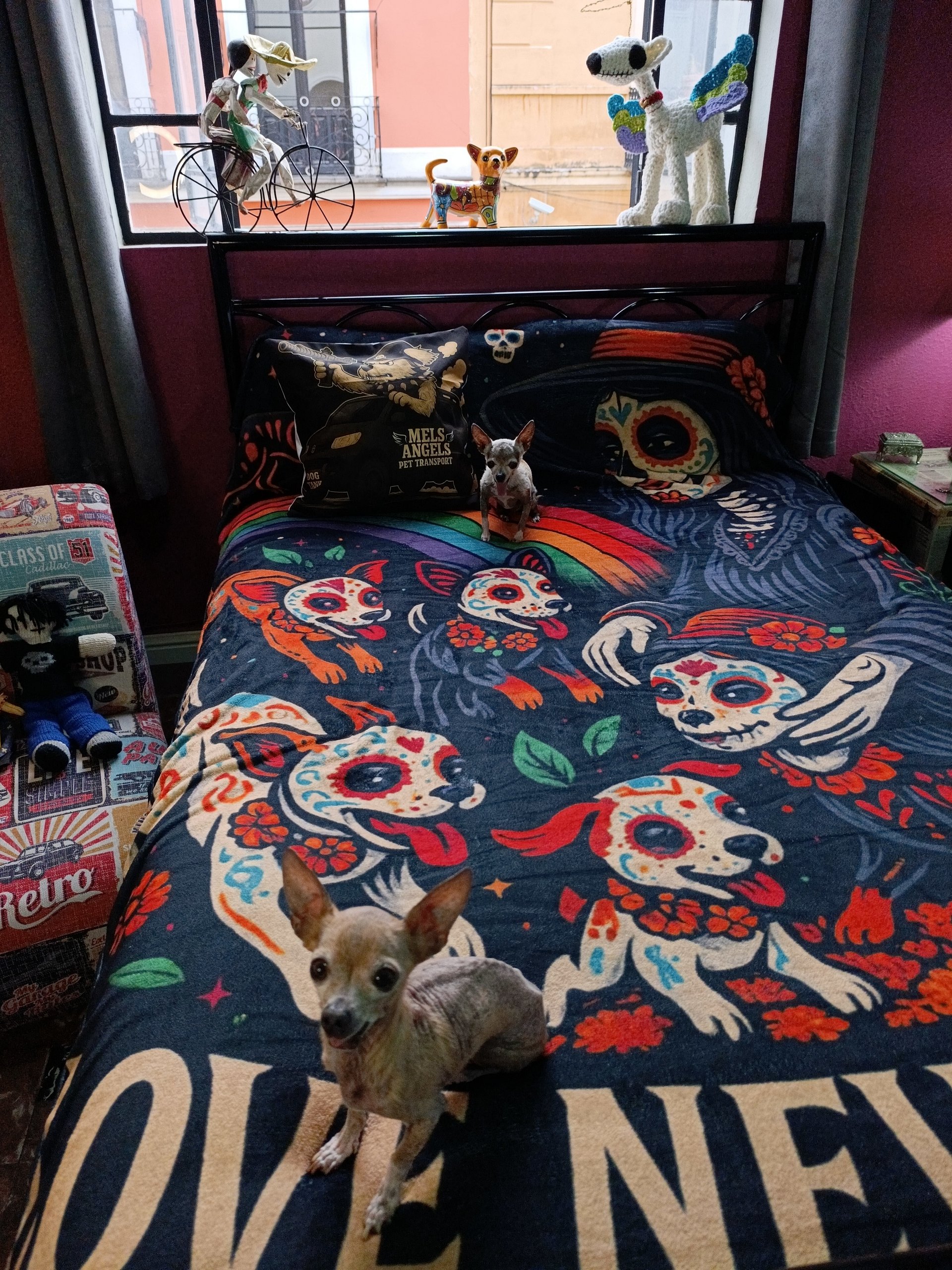 Love Never Dies – Day of the Dead Dog Blanket | Calavera Pet Art Throw product image (25)