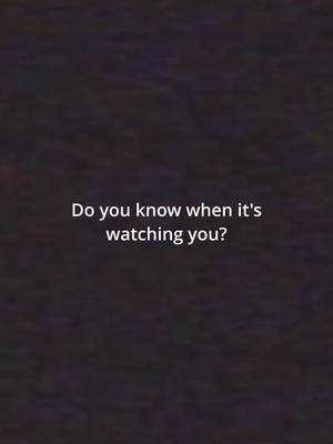 #Horror #creepy #analoghorror #scary #ARG #filmseries #halloween #Kindianima #scarytiktoks #horrortok #horrortiktok #scarytok #lore #creepytiktok #creepytok #nosey #citra