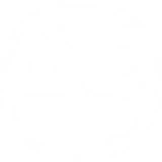 Austin Bradley