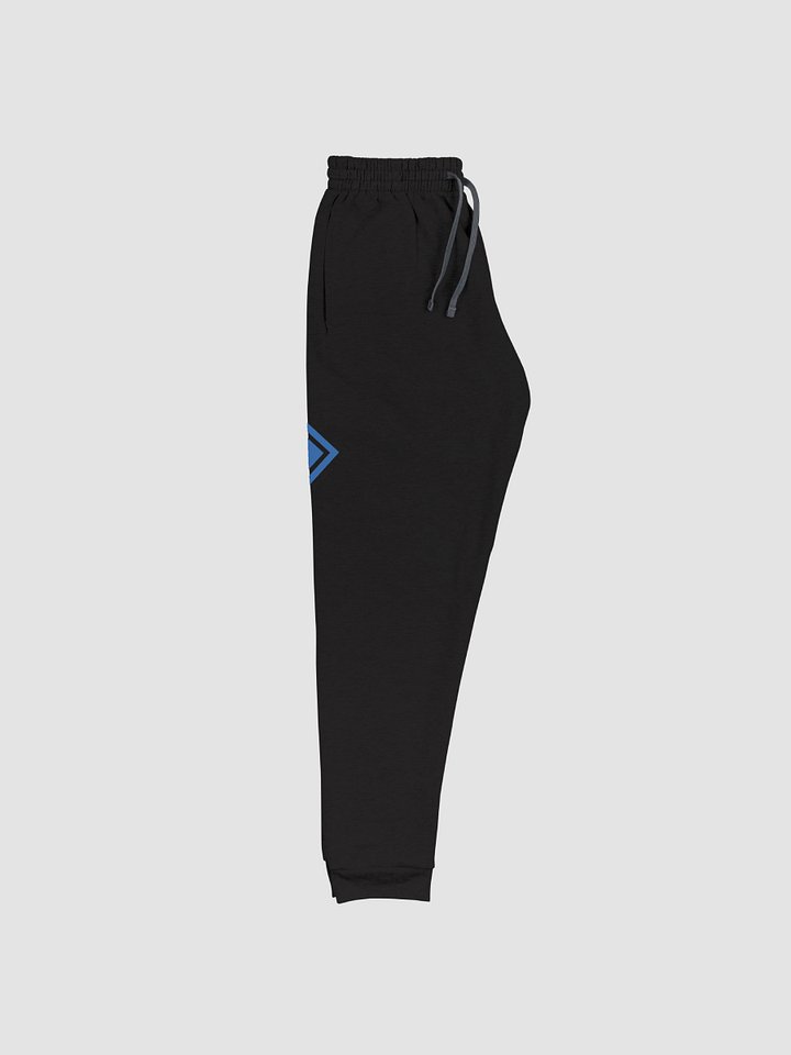 Survivor Unisex Joggers product image (2)