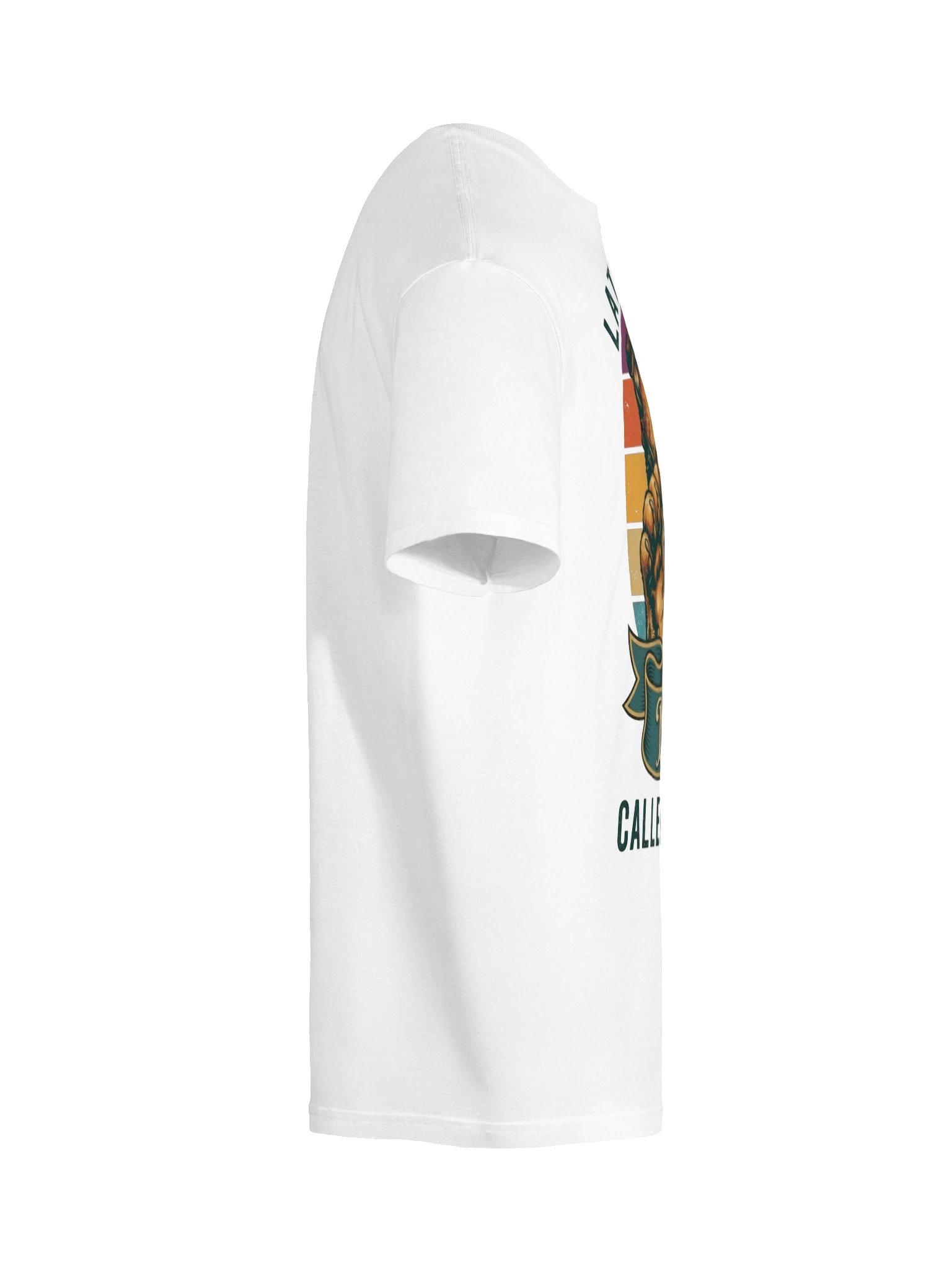 Cat Meeting T-Shirt product image (46)