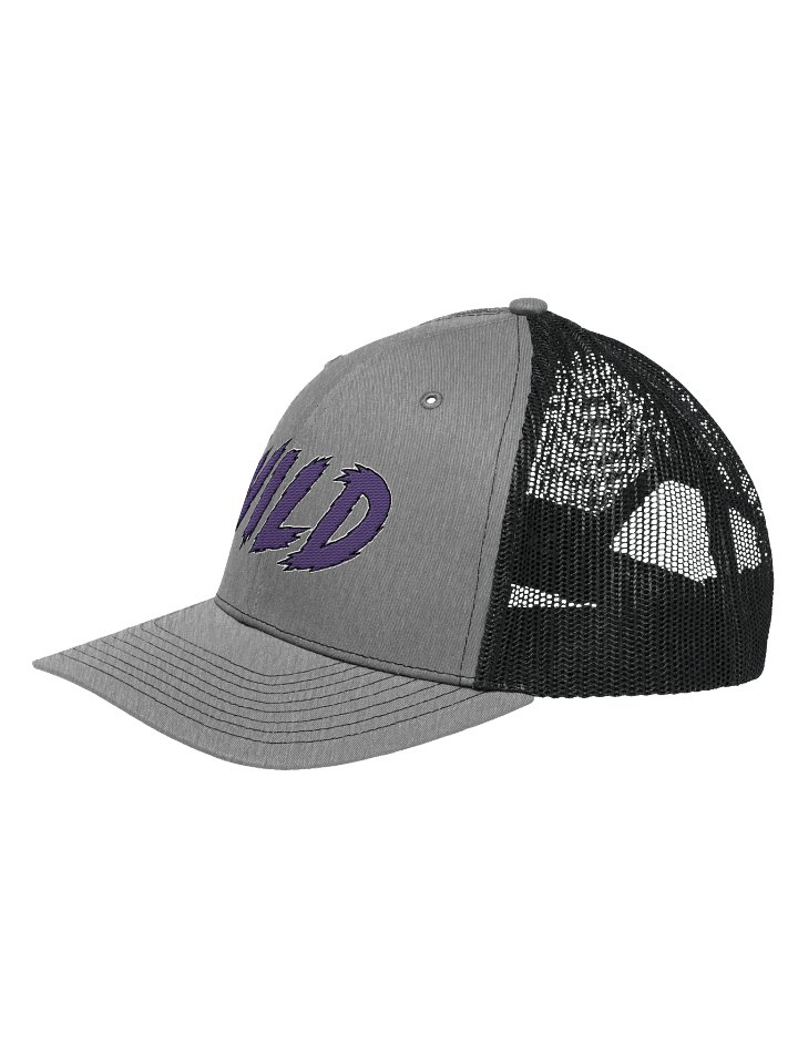 Wild Hat Embroidered Hat product image (4)