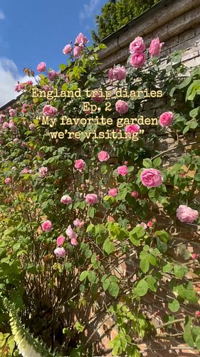 There a few spots left if you’d like to join me in England! May 18th-25th, 2027, details in my bio.

#englishgarden #grouptri...