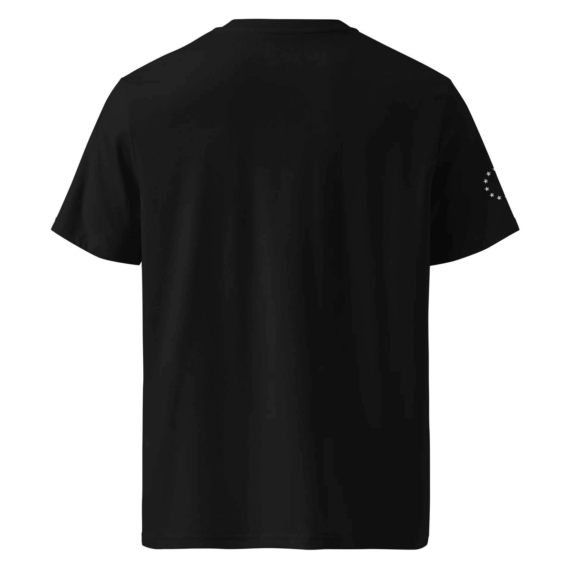 EU–INC T-Shirt (European Stars Version) product image (8)
