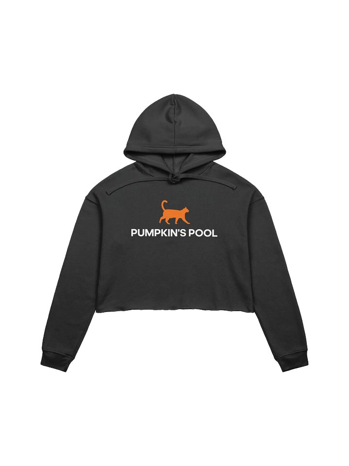 Pumpkin's Crop Hoodie product image (1)