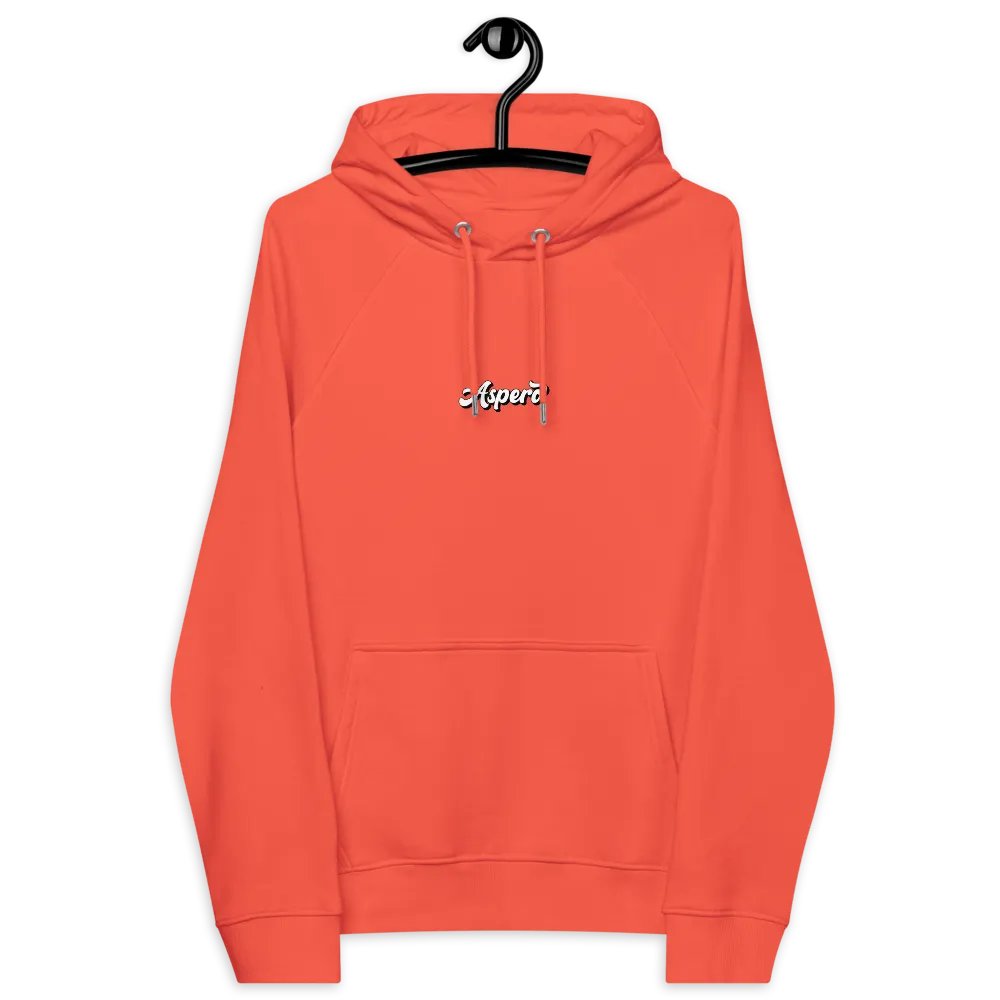 Aspero Bogotá SOL'S Unisex Eco Raglan Hoodie product image (100)
