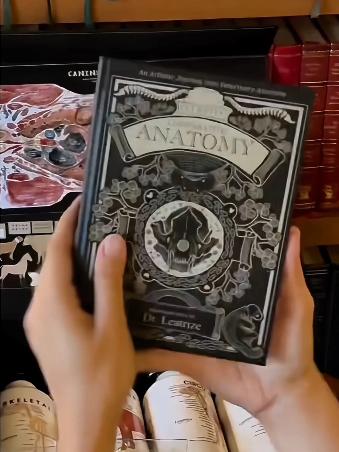 Vet Art Collector’s Gift Box product image (3)