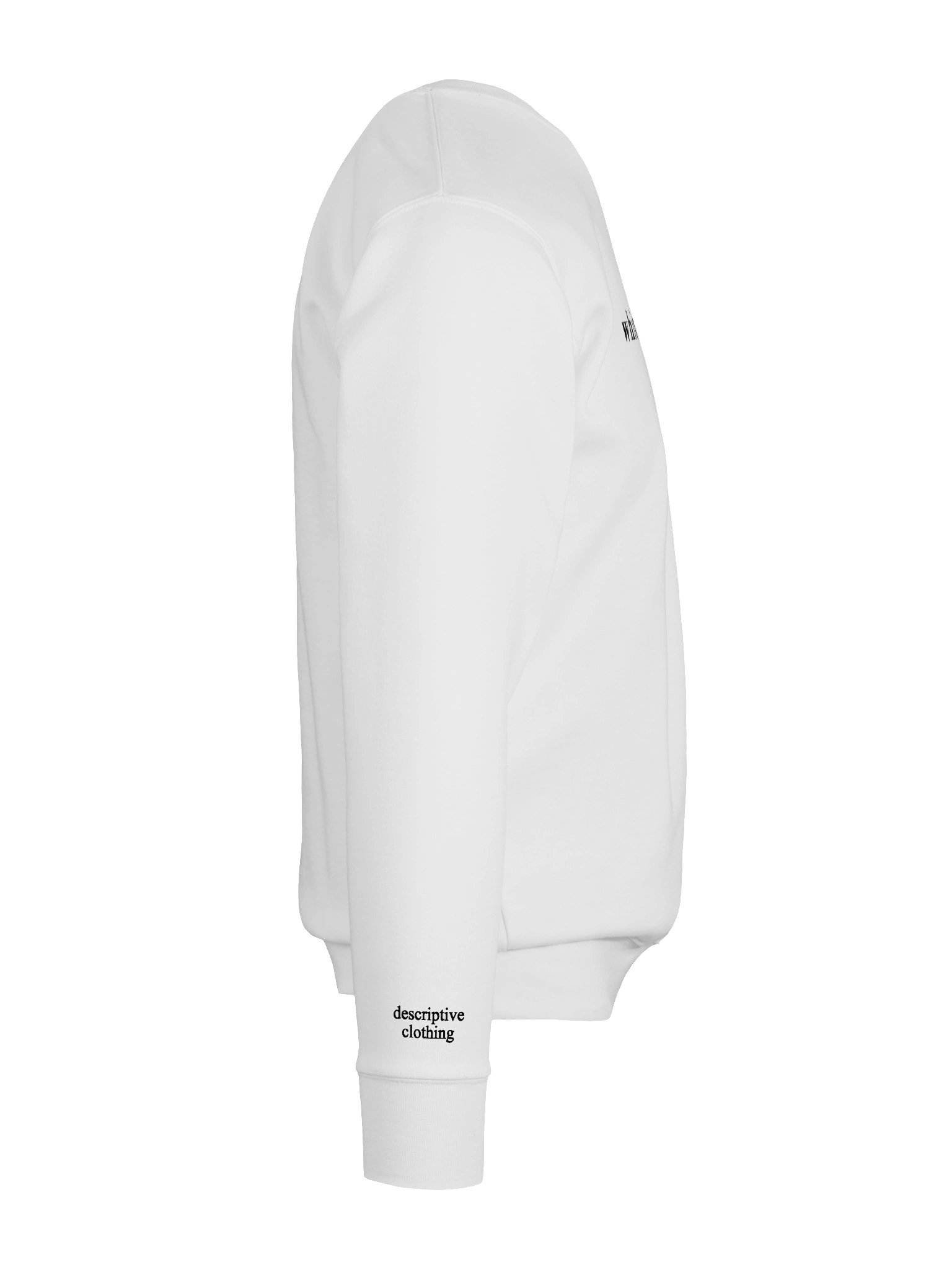 Premium Unisex Crewneck product image (6)