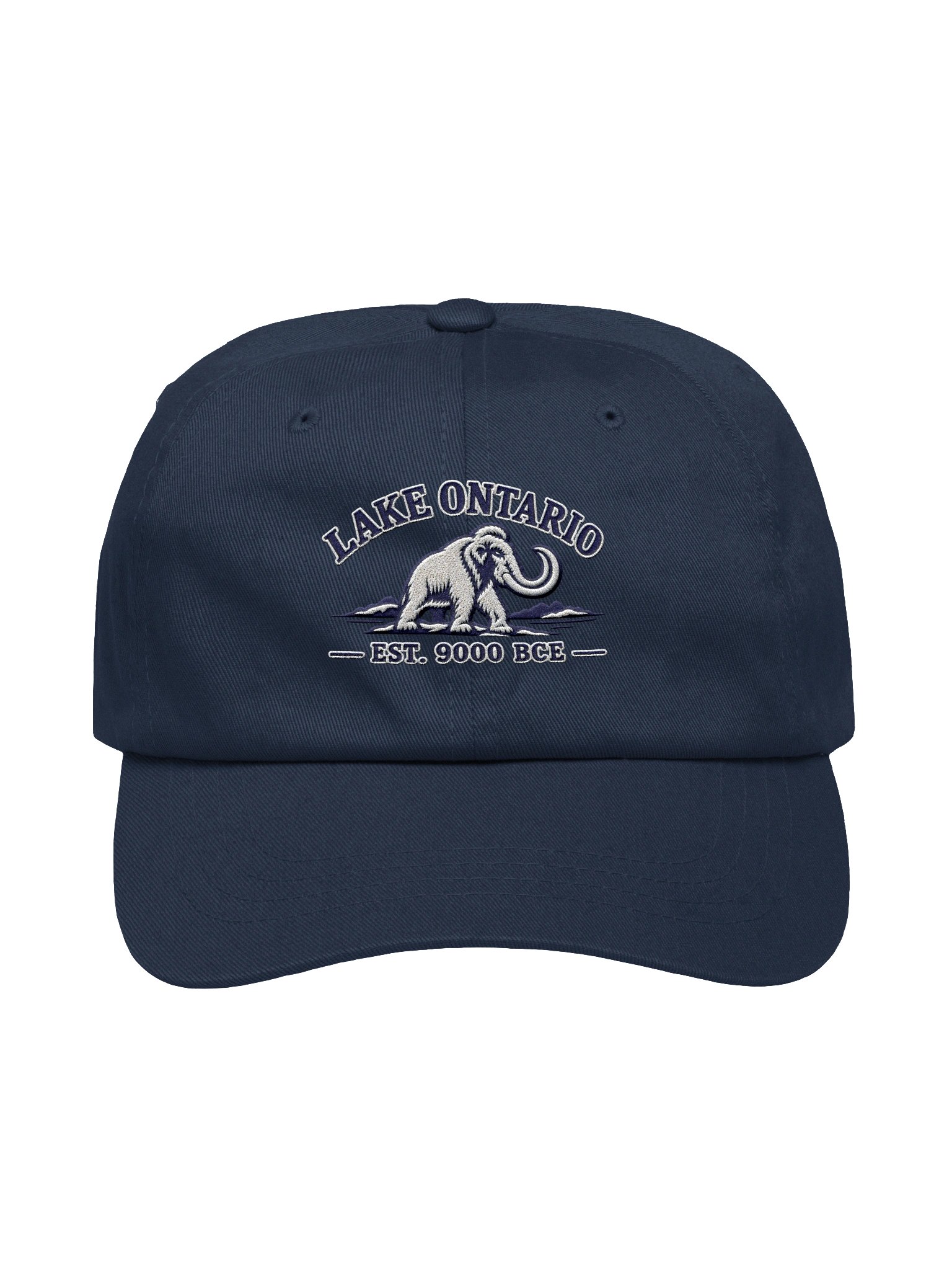 Lake Ontario Mammoth Premium Hat | Navy product image (1)