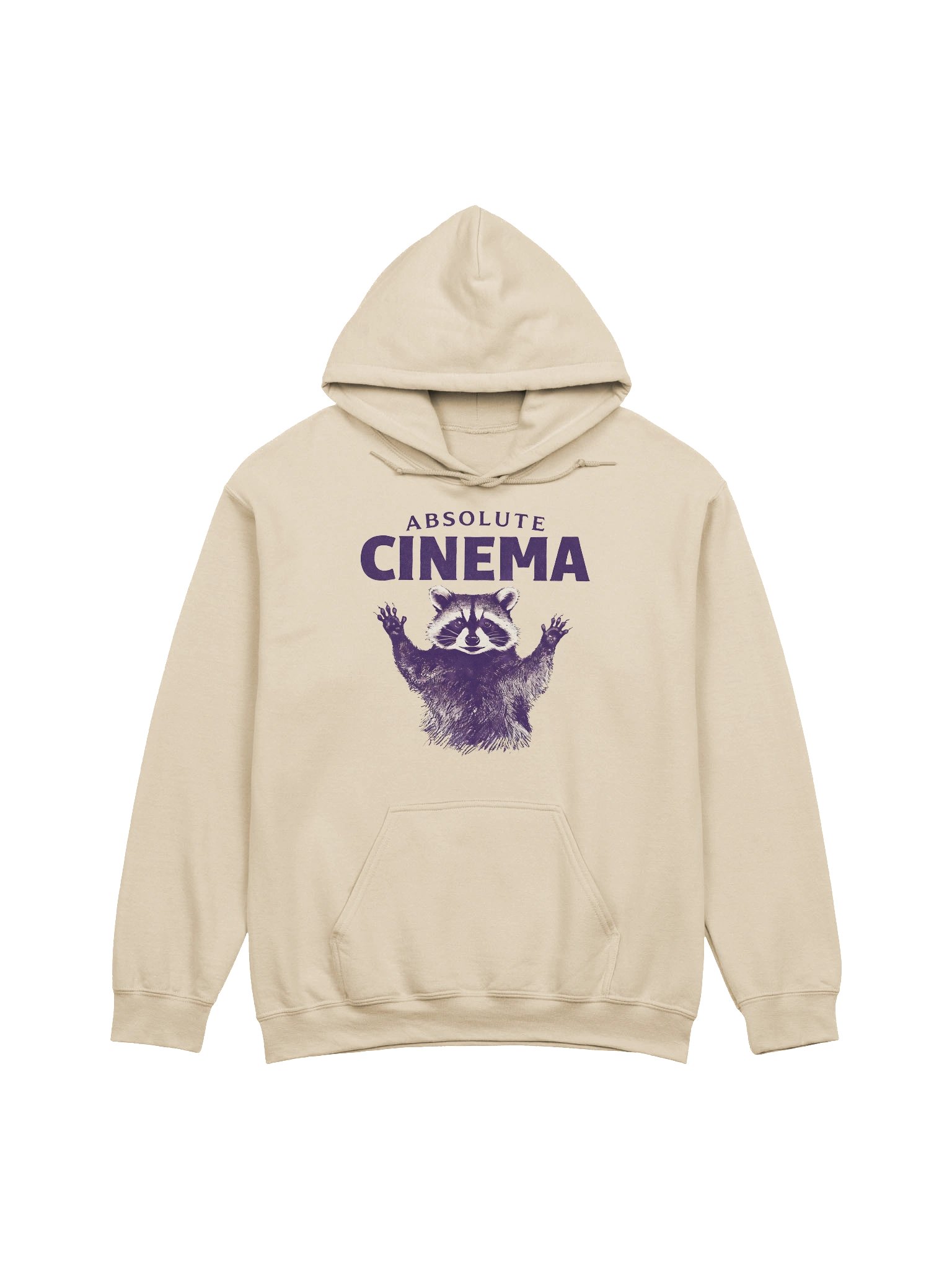 Absolute Cinema Raccoon Meme Graphic Hoodie product image (1)