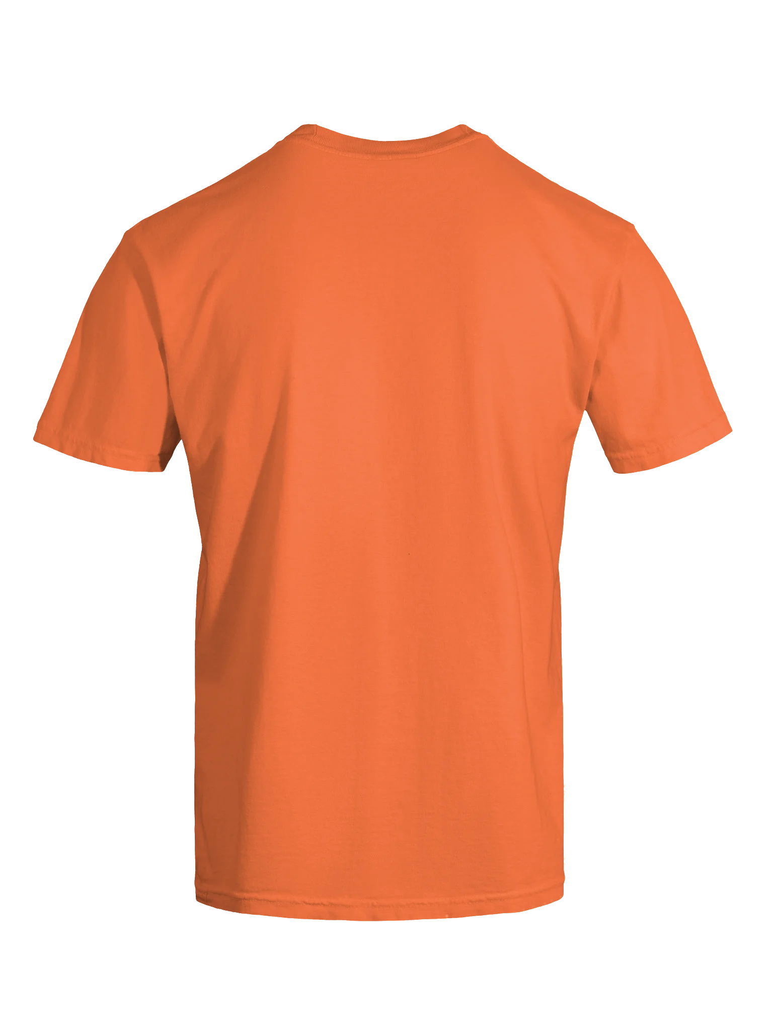 Zaneverse Pumpkin Tee product image (7)