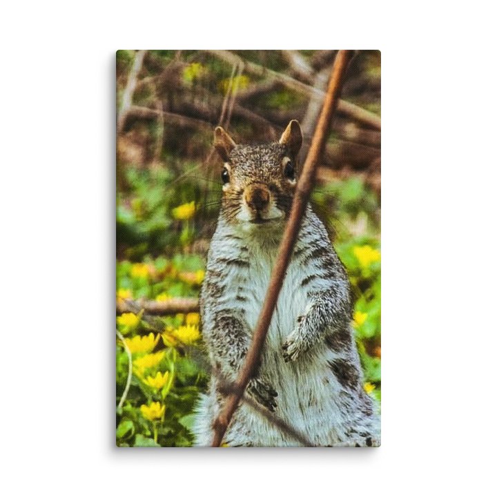 A Sight for Squirrel Eyes product image (2)