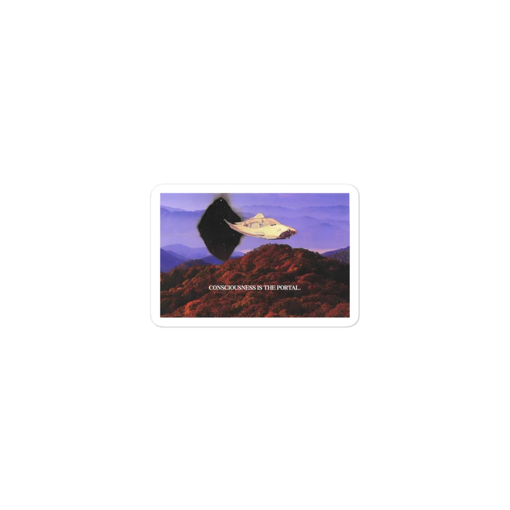 I’VE GOT PLANS STICKER product image (1)