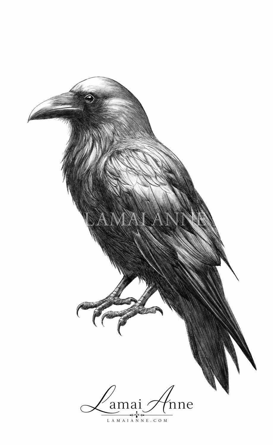 Raven product image (1)