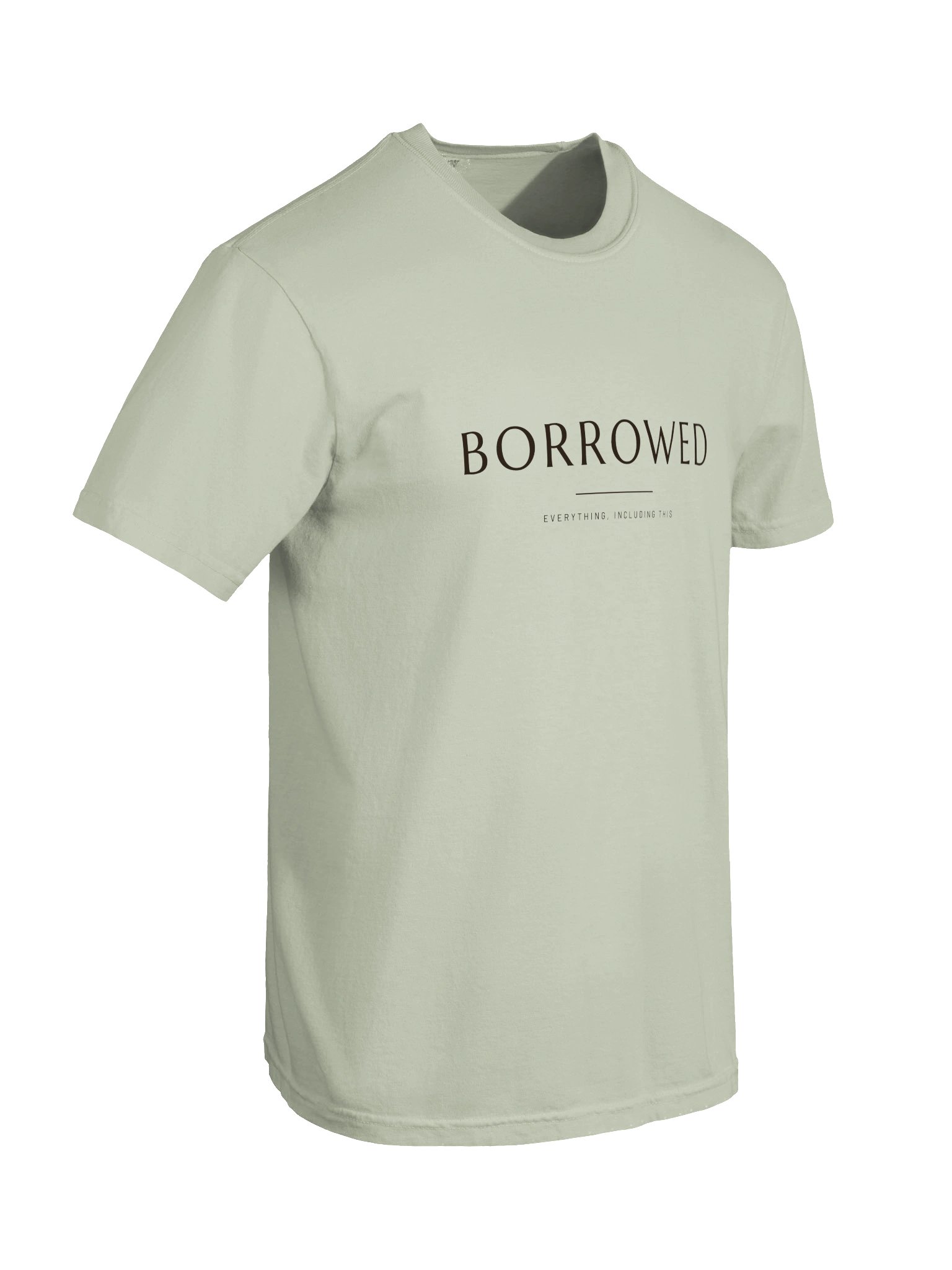 Borrowed Tee product image (6)