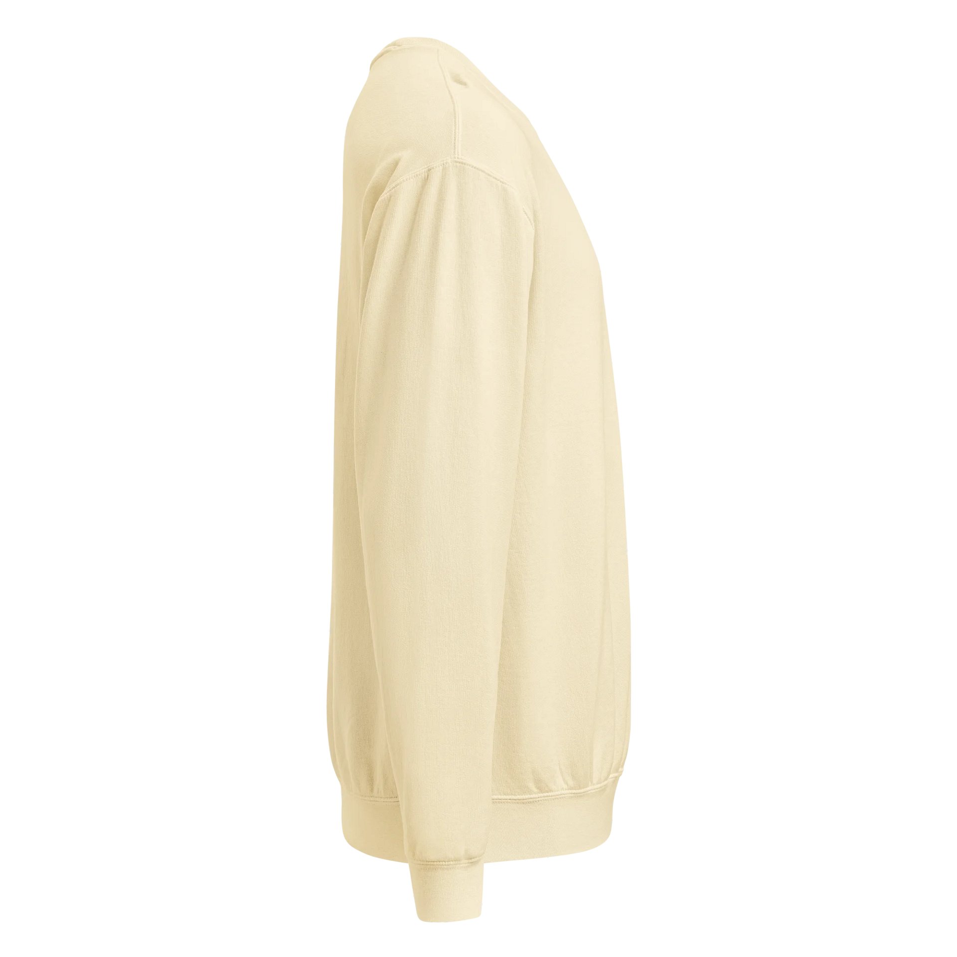 Palaka Hibiscus Sweatshirt product image (8)