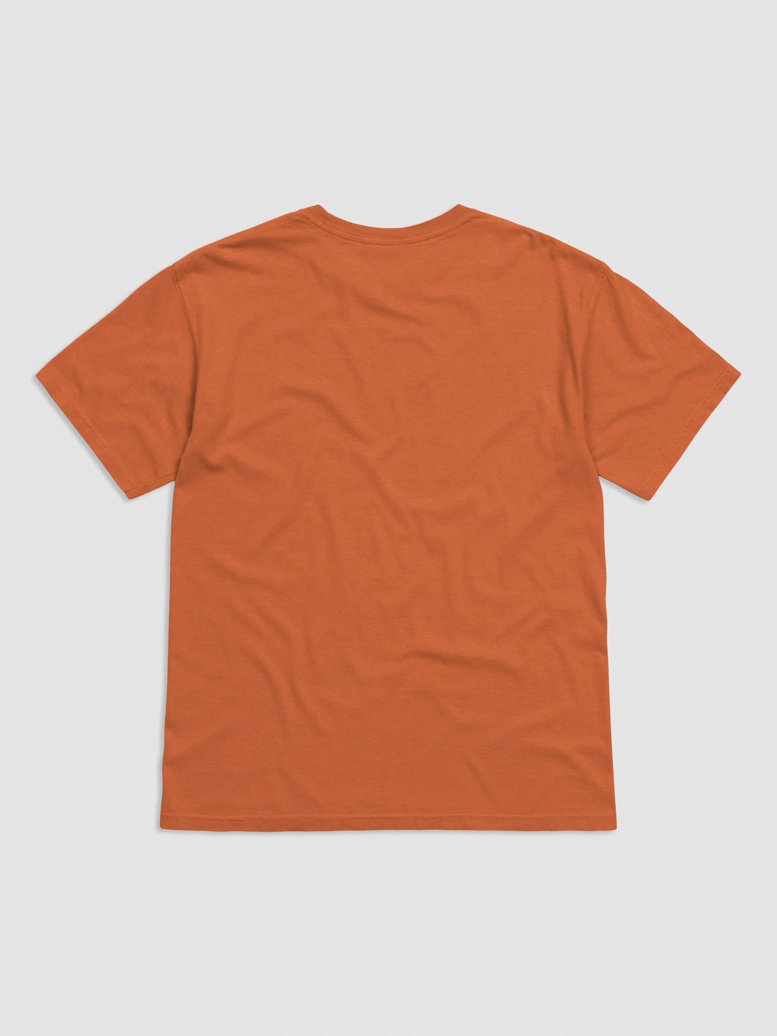 Fall Fun Kiwi T-Shirt product image (15)