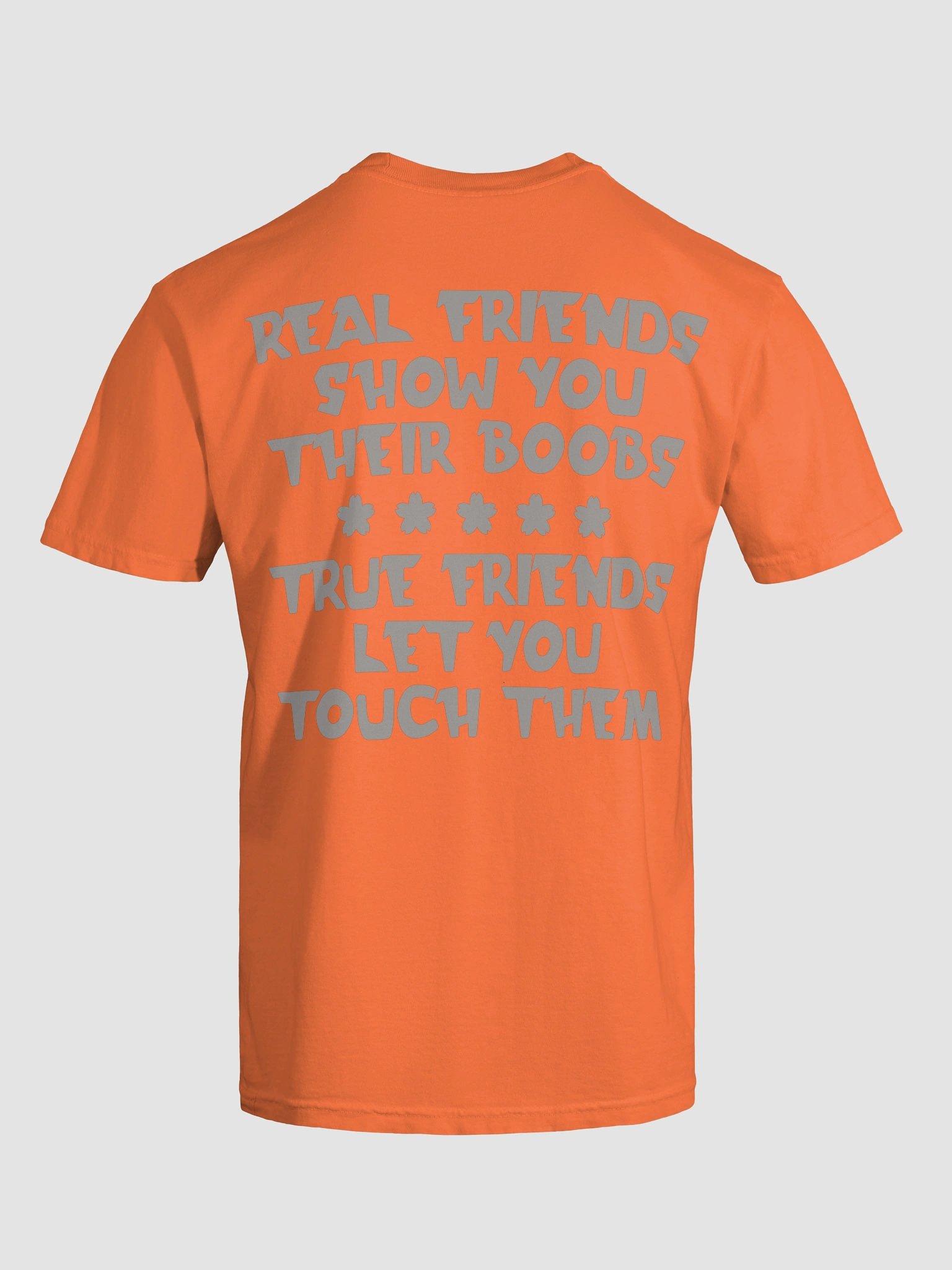 REAL FRIENDS SHOW YOU THEIR BOOBS Salty Shirt product image (49)