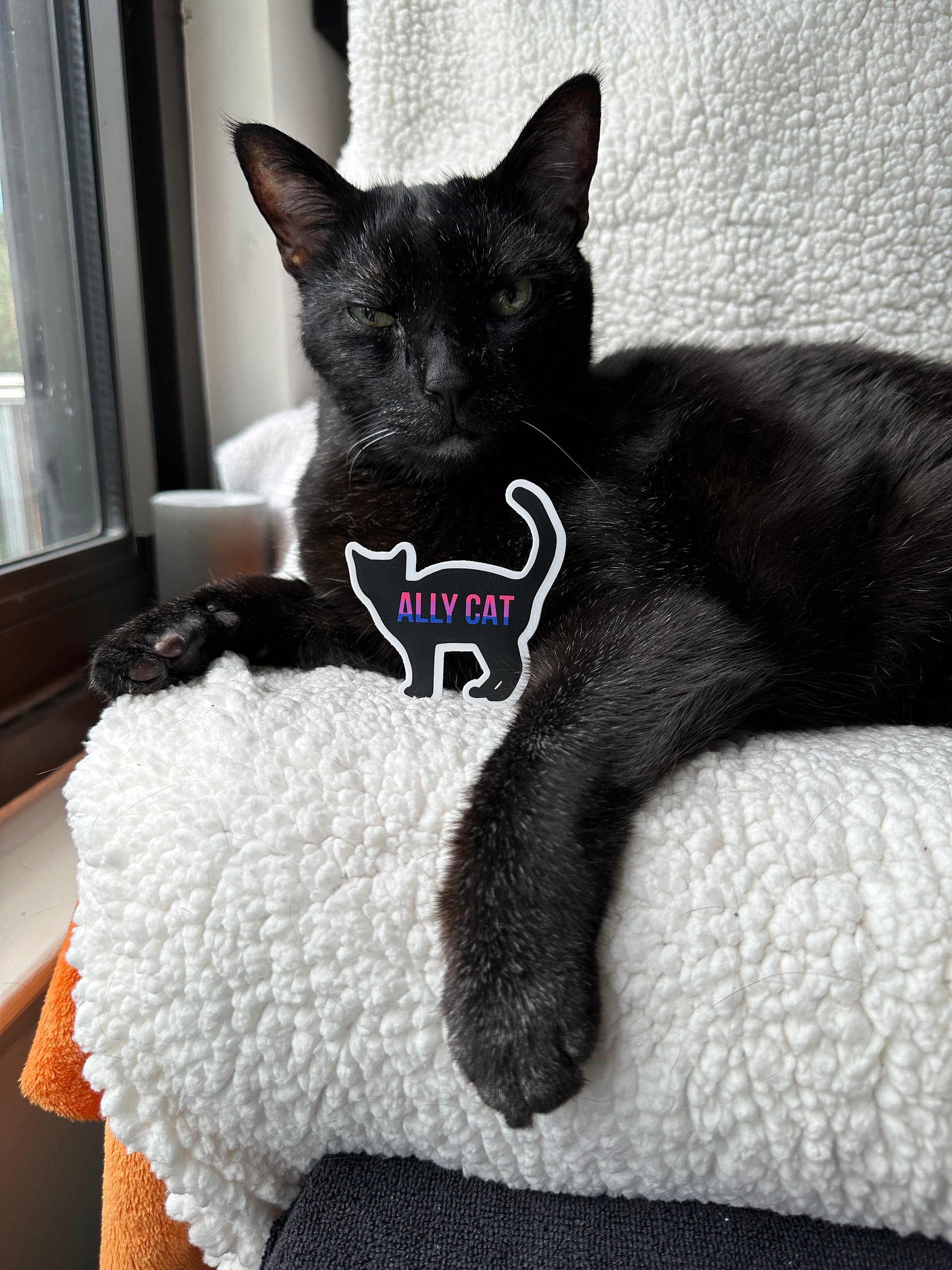Bi Ally Cat sticker product image (2)